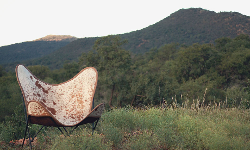 Nguni Skin Butterfly Chairs